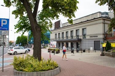 Kino w plenerze. Film z muzyką na żywo