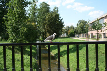 Pogoda na trzeci weekend sierpnia