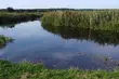 Pogodny dzień w stolicy Podlasia