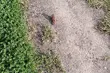 To już ostatni wtorek sierpnia. Czy pogoda dopisze?