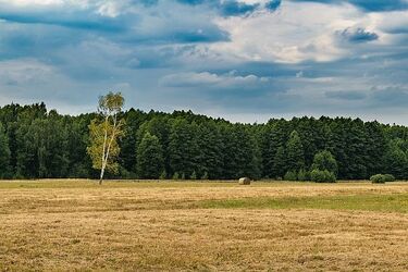 Przedostatni dzień wakacyjnego miesiąca. Wciąż z wysoką temperaturą