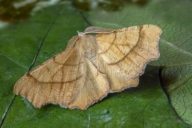 Ostatni dzień sierpnia i pierwszy września. Jaka pogoda czeka nas w weekend?
