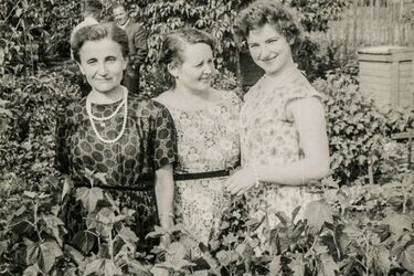 Skorupy - wieś w środku miasta. Premiera filmu