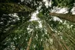 Politycy będą mogli wypowiedzieć się na temat ekologii i kryzysu klimatycznego