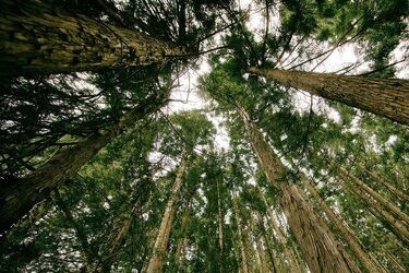 Politycy będą mogli wypowiedzieć się na temat ekologii i kryzysu klimatycznego