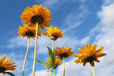 Kolejny tydzień września na półmetku