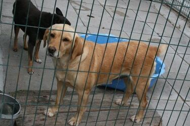 Kolejny PSAcer. Warto szybko zapisywać się – miejsc jest niewiele