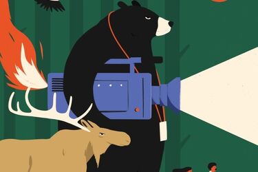 Filmowe Podlasie zaatakuje po raz 15. Trwa nabór filmów