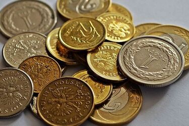 500 plus dla osób niesamodzielnych. Czy przysługuje mającym orzeczenie niepełnosprawności?