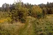 Pogoda na weekend. Trochę chmur, trochę słońca