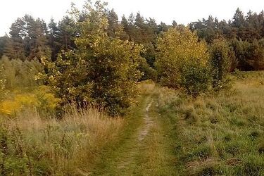 Pogoda na weekend. Trochę chmur, trochę słońca