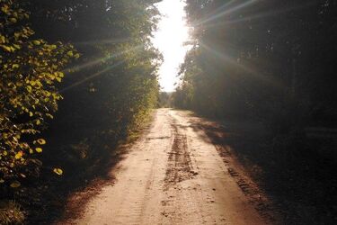 Przed nami ostatnia środa września