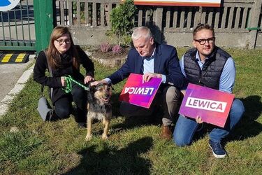 Lewica przypomina - problem bezpańskich zwierząt jest duży. Ma pomysł, jak temu zaradzić