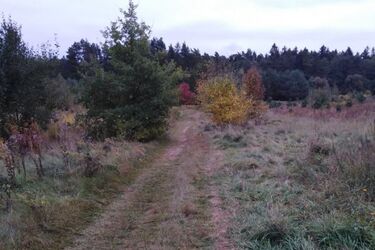 Zbliża się weekend. Ile stopni zanotują termometry 4 października? 