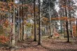 Pogoda na pierwszy weekend października