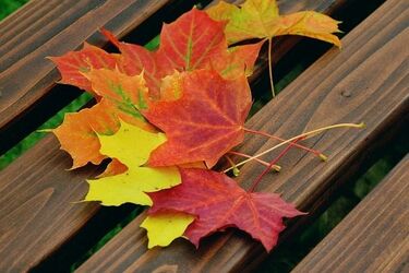 Pochmurny i chłodny poniedziałek w stolicy Podlasia