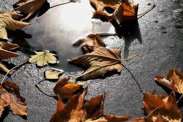 Tydzień na półmetku. Temperatura podskoczy o kilka stopni