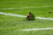 Podlaski futbol. A-klasa (gr. I) - 8. kolejka