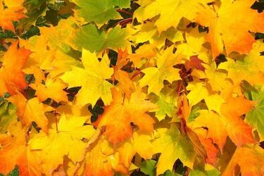 Pogoda na weekend. Temperatura może zaskoczyć