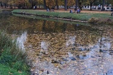 Powrót lata jesienią? 14 października z wysoką temperaturą 