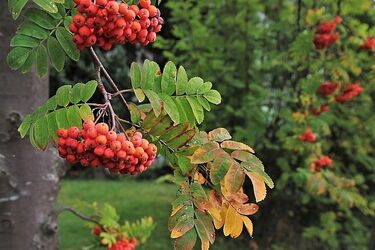 Kolejny tydzień października na półmetku 