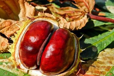 Piątek zwiastuje ciepły październikowy weekend