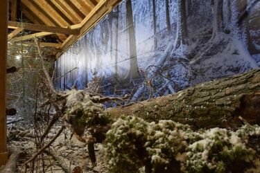 Nowa wystawa stała w Podlaskim Muzeum Kultury Ludowej