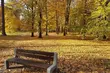 Przed nami pogodny weekend. Temperatura rozgrzeje 