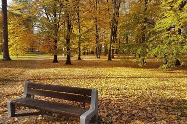Przed nami pogodny weekend. Temperatura rozgrzeje 