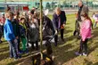 Dobra zmiana. Sadzą zamiast wycinać