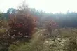 Nowy tydzień rozpocznie się słonecznie 