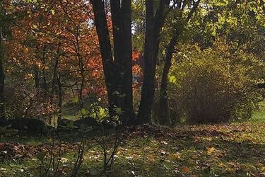 Pogoda na ostatni piątek października 