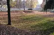 Przed nami ostatni weekend października. Czy pogoda dopisze? 