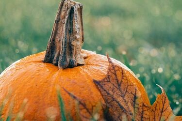 Pogoda na ostatni poniedziałek października