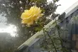 Temperatura spadnie. Czeka nas chłodny dzień i mroźna noc