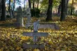 Pogoda na długi listopadowy weekend 