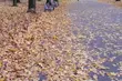 Pogoda na poniedziałek. Niskie ciśnienie i przelotne opady deszczu