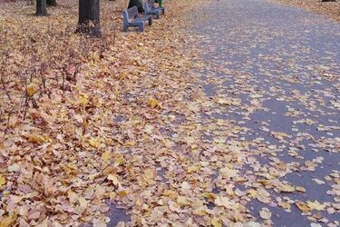 Pogoda na poniedziałek. Niskie ciśnienie i przelotne opady deszczu