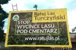 Las zostanie pogrzebany? Do tego jeszcze daleko, ale procedury trwają