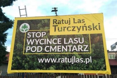 Las zostanie pogrzebany? Do tego jeszcze daleko, ale procedury trwają