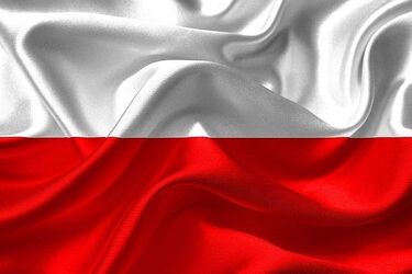 Nie uszanowali symboli narodowych. Odpowiedzą za kradzież flag państwowych