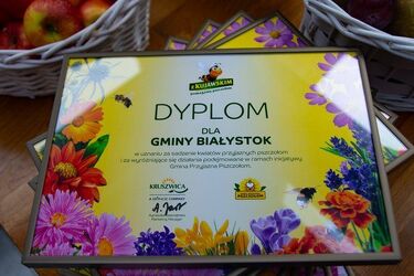 Białystok przyjacielem pszczół. Działania miasta docenione
