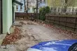 Ten gość wstrzymał ruch! Młody łoś narobił zamieszania