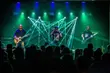 Kobranocka, Róże Europy i Sztywny Pal Azji w Gwincie