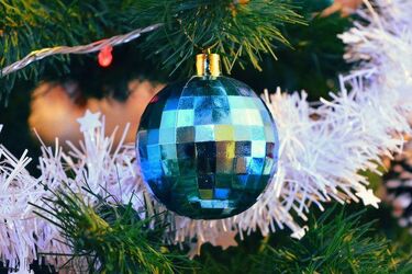 "Akcja choinka" - nowa ekologiczna inicjatywa miasta