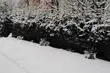 Pogoda na świąteczne dni. Czy spadnie śnieg?