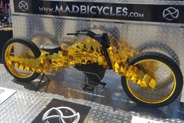 Adam Zdanowicz i jego "O.Błędne Koła". Wystawa w Pałacu Branickich