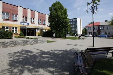 Przyjemniejsza droga po książki. Łapy zajmą się placem przed biblioteką.