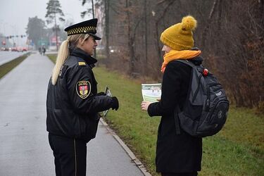 Dzikie zwierzęta w mieście. Jak się zachować, gdy na drodze spotkamy jedno z nich?