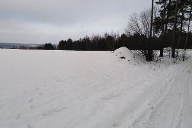 Pochmurny wtorek w stolicy Podlasia